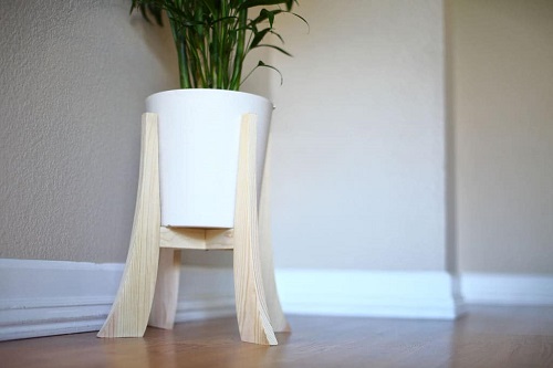 best DIY Plant Risers for Indoor Plants