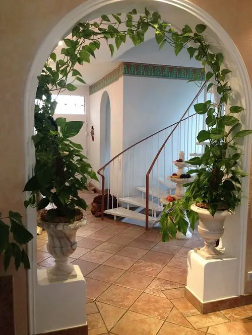 Indoor Pothos Arch Garden