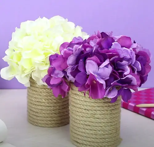 Wrapped Potted Plant Centerpiece and Gift Ideas