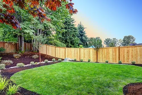 pinewood Privacy Fence