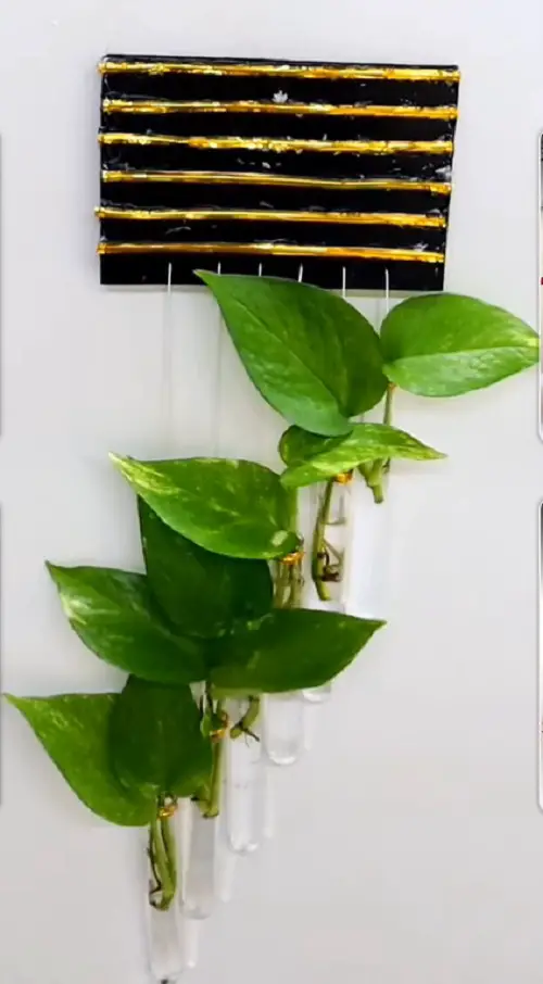 Test Tube Plant Hanger