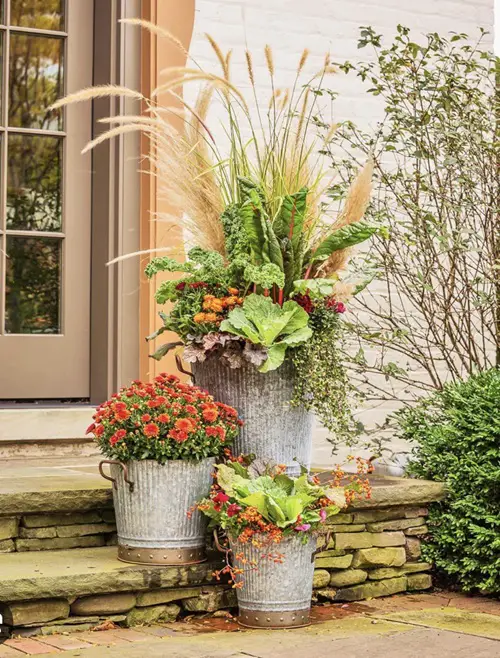 The Magic of Tier Planting with mums