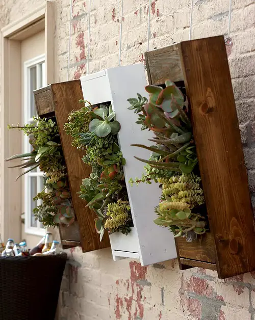 Use Tilted Wooden Boxes to Grow Plants in backyard