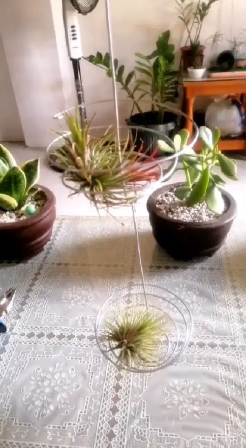 Wire Plant Hanger