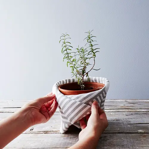 Wrap the Pot in a Tea Towel