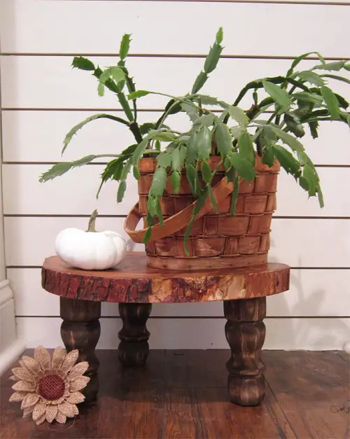 Small Table as a Plant Stand