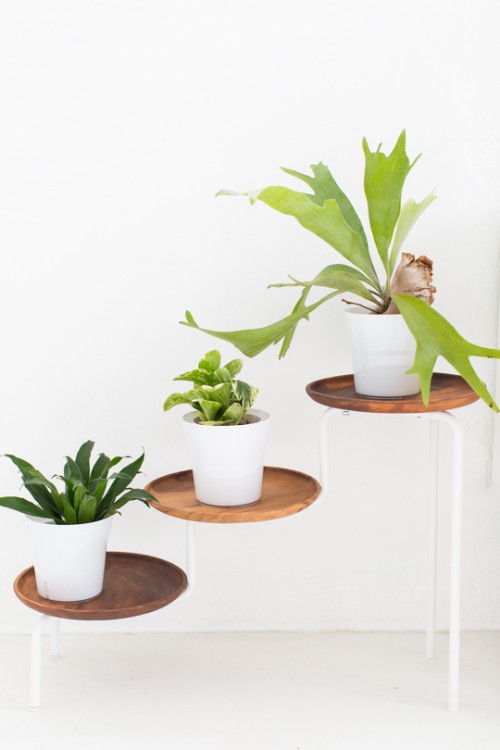 Acacia Wood Plant Stand