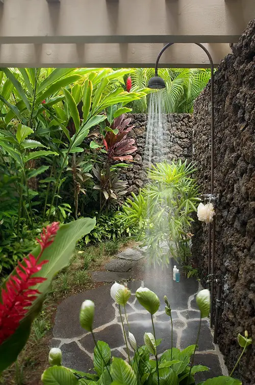 Shower in the Jungle bathroom