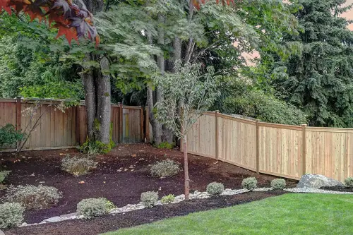 board Privacy Fence