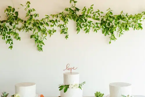 Indoor Vines as a Garland Ideas