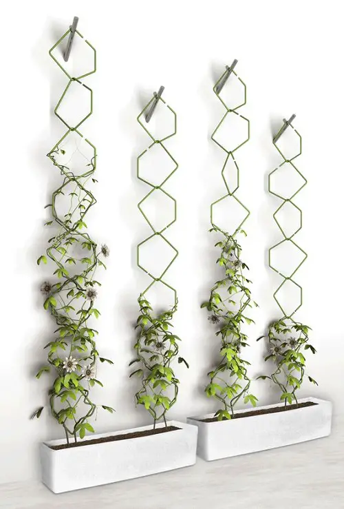 Free Standing Pot Trellis