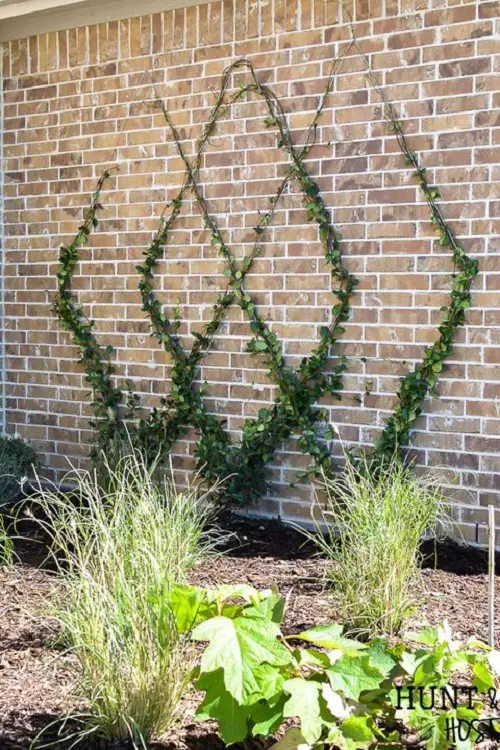 DIY Wire Trellis for Outdoor Plants