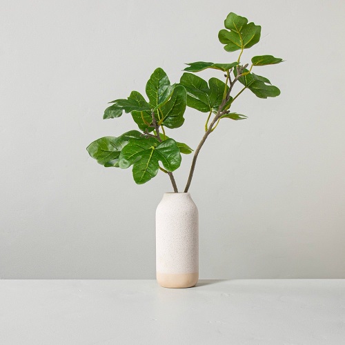 lovely Indoor Plant Cuttings that Look Good in Vases