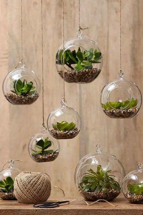 Modern Hanging Glass Cluster of Open Terrariums