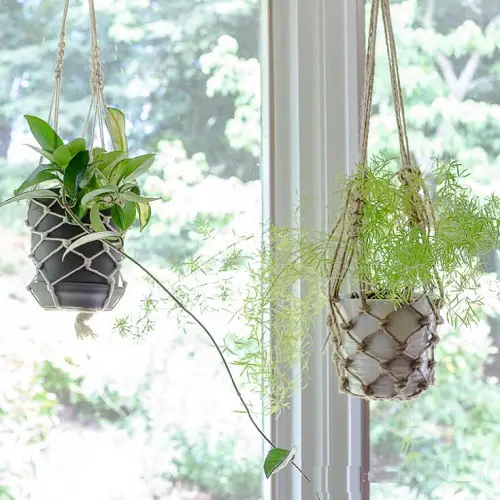 Houseplants in DIY Fishnet Hanging Planters