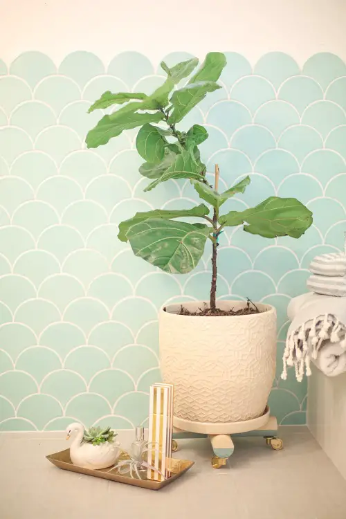 Plant Stand with Wheels