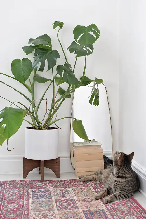 Little Wooden Plant Holder