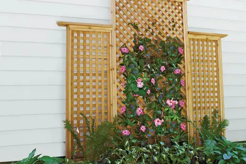 DIY Lattice Trellis for Climbers