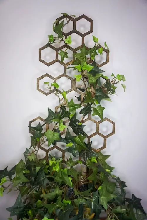 Ivy Climbing a Honeycomb Trellis