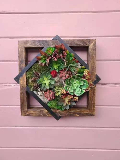 Succulent Wall Art