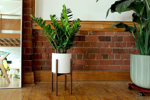 best A Sleek Design