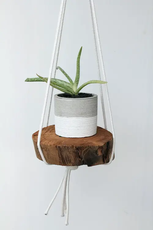 Chopped Wood and Rope Hanger