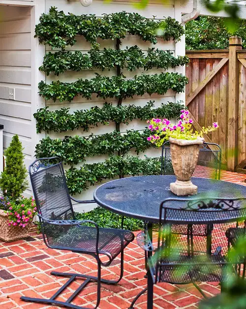 best Lovely Budget Patio Ideas for Small Backyards