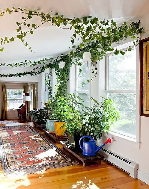 lovely Hanging Indoor Vines as a Garland Ideas