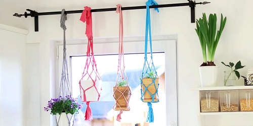 best Best Hanging Plants in Front of Windows Ideas