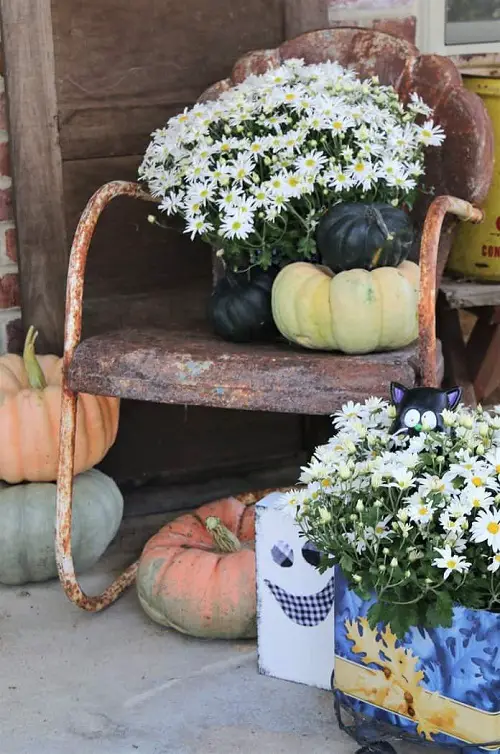 Elegance Personified! Landscaping with Mums Ideas