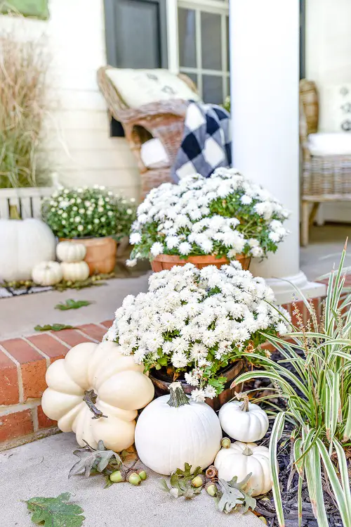 Landscaping with Mums Ideas Monochrome is the New Color