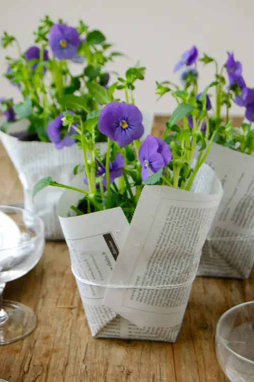 newspaper Wrapped Potted Plant Centerpieces and Gift Ideas