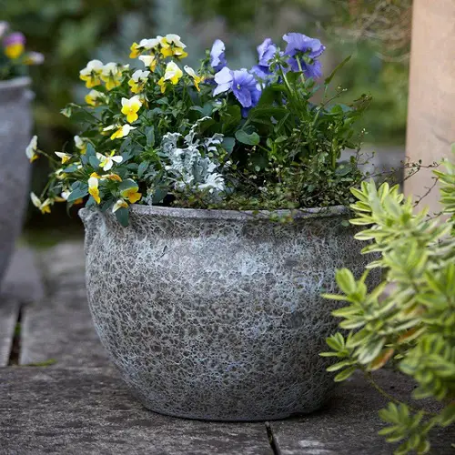 Best Winter Planters for Front Porch 25