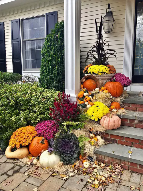 Don't Forget to Match Mums with Pumpkins