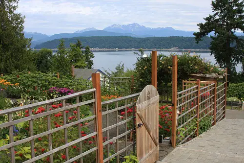 post and rail Privacy Fence