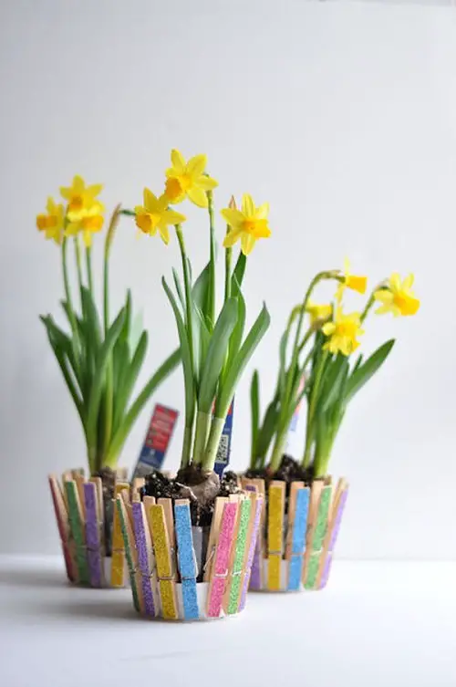 Clothespin Flower Pots
