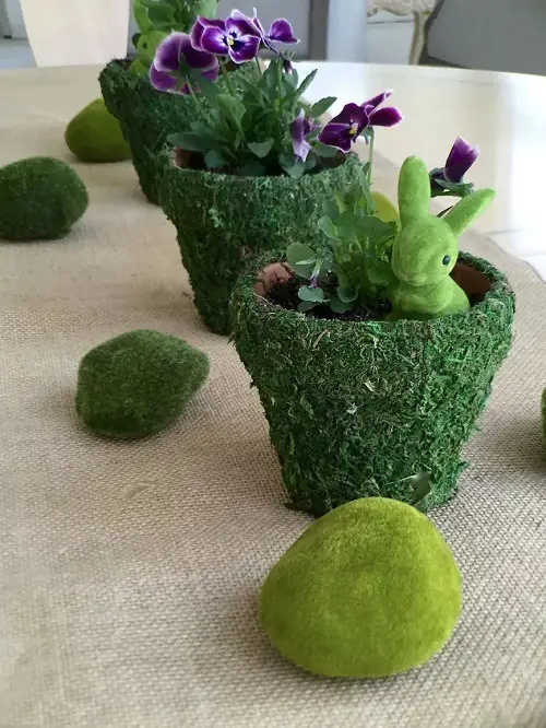 Purple Pansies in Moss-Covered Pots