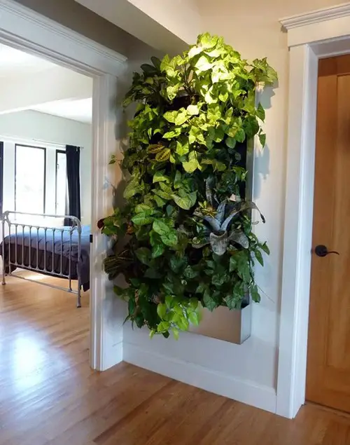 Bushy Foliage Living Wall in the Corner