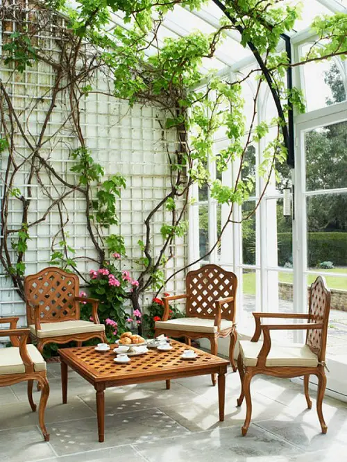 21 Fabulous DIY Trellis Plant Wall Ideas 
