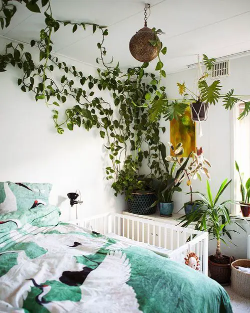Amazing Hanging Indoor Vines as a Garland Ideas