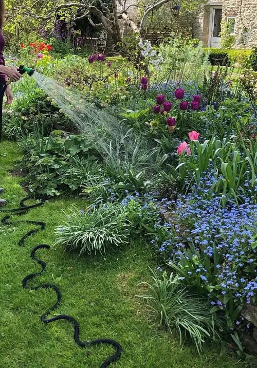 The Best Time to Water Plants