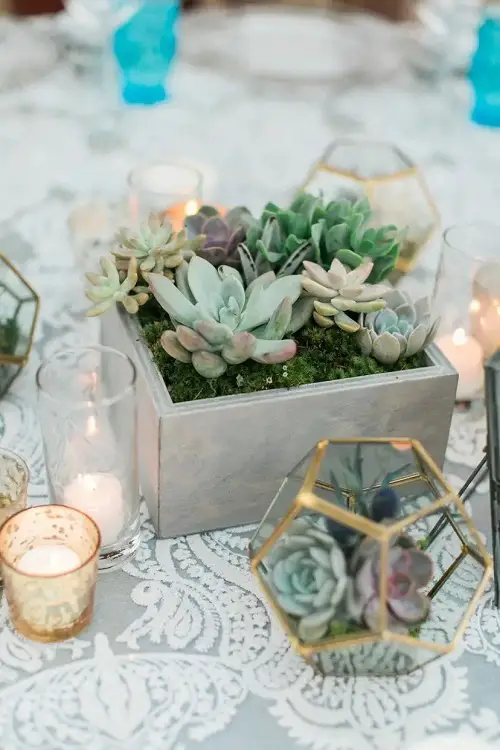 Succulents Bed in Concrete Box