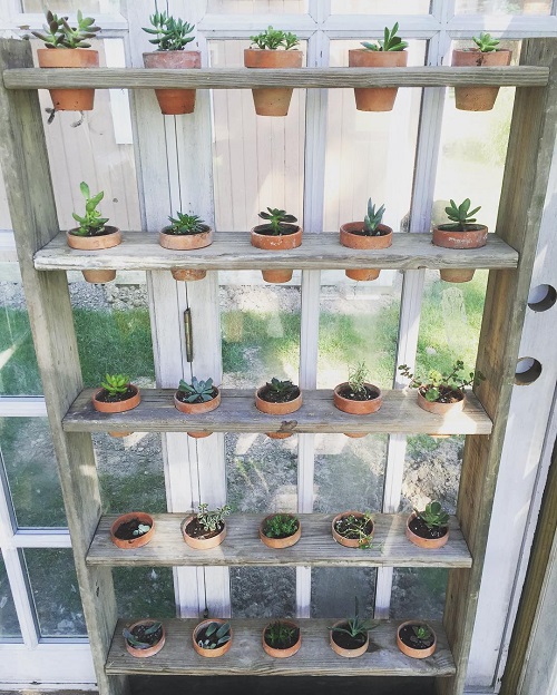 Greenhouse Shelving Ideas