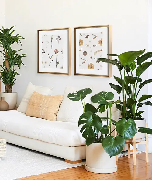 Rules for Decorating with Combining Plants with Other Items10
