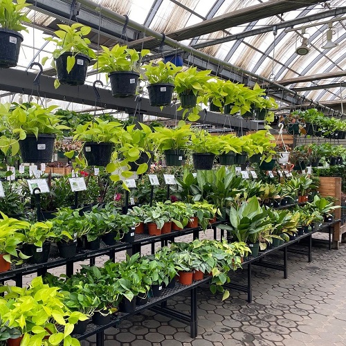 Tiered Greenhouse Shelving