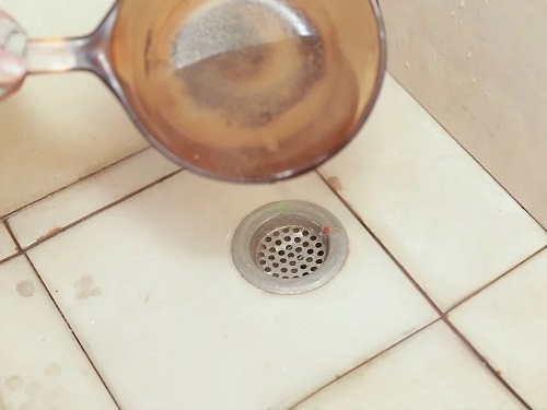 Try Salt and Vinegar Get Rid of Drain Flies