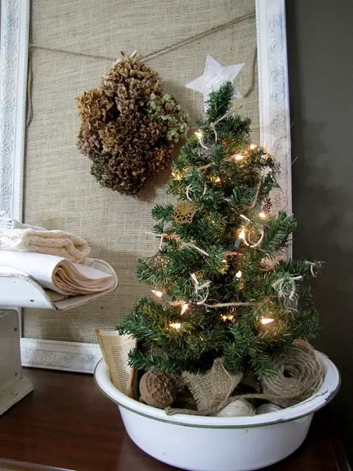 Christmas Tree in a Small Tub