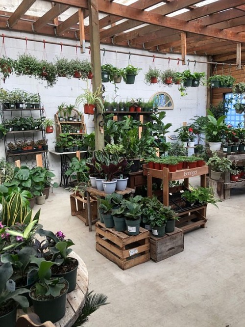 Greenhouse Shelving Ideas Plants on Crates