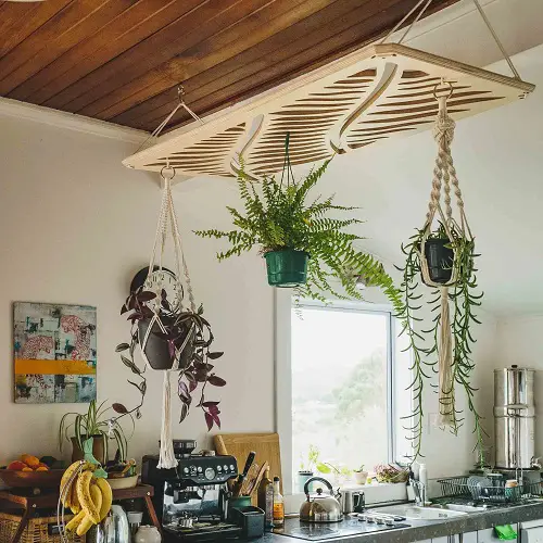 Make a Plant Chandelier or Hang them from Ceiling