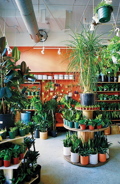 Circular Shelves